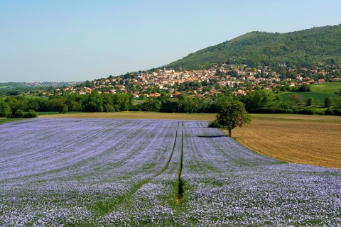 Mezel village