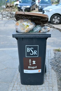 Biological waste bin