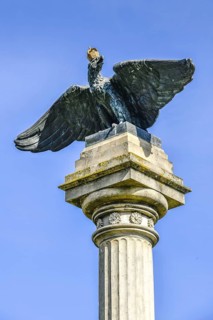 Eagle