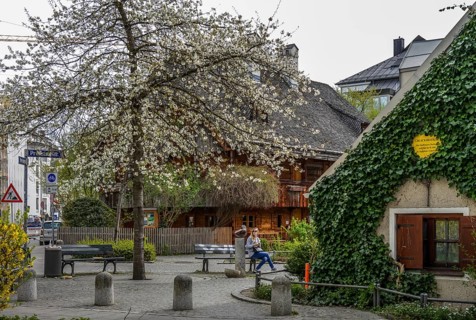 Kriechbaumhof