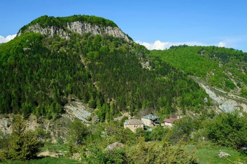 Dardha