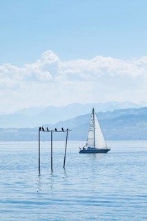 View from Arbon over blue shimmering Lake Constance with sailing boat in sunny weather and blue sky in summer