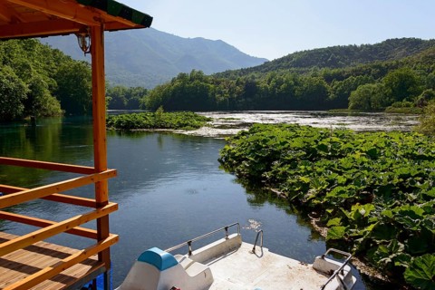 River Bistrica