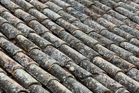 Roof tiles