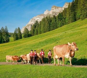 Alpine procession at Lutertannen in front of the Alpstein massif with Saentis in mountain spring