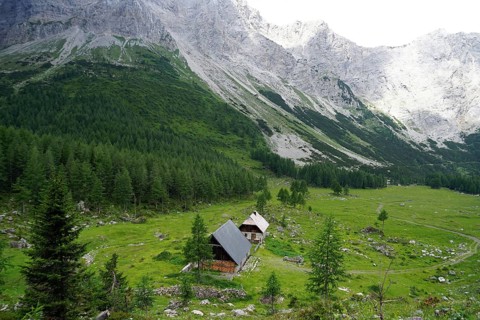 Obere Wolayeralm