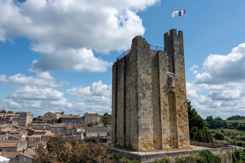 Fortified Tower