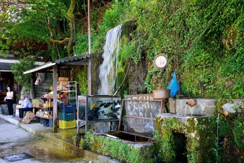 Sale of fish