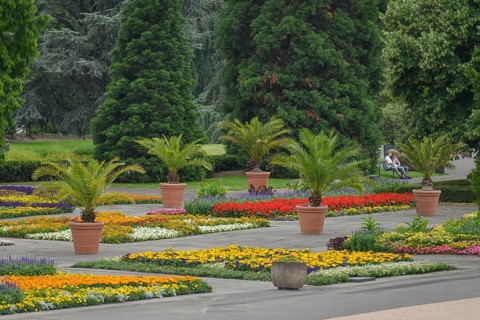 Rheinpark