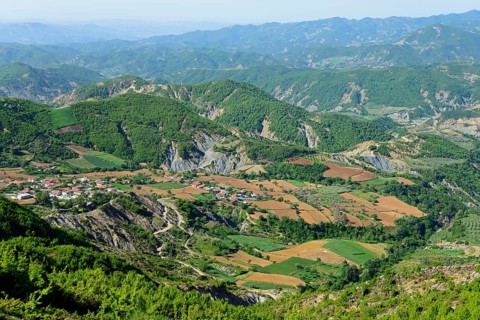 Pajenge