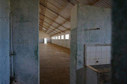 Communal cell