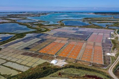 Aerial view of the salt marshes