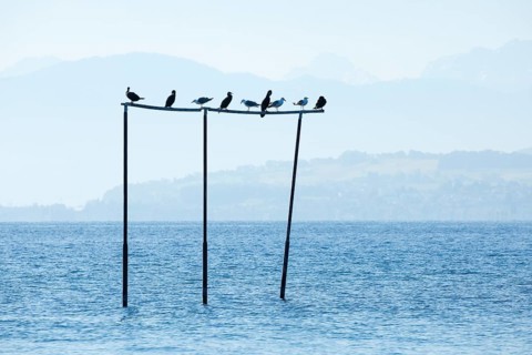View from Arbon over Lake Constance