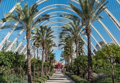 The Umbracle