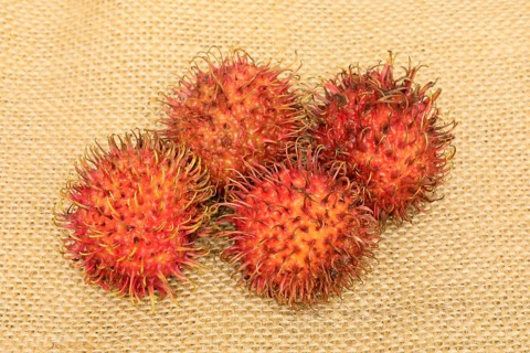 Rambutan (Nephelium lappaceum)
