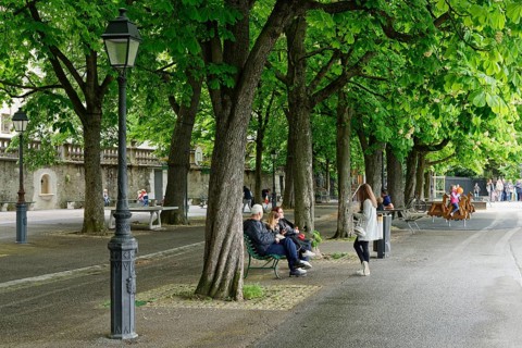 Small park in Geneva