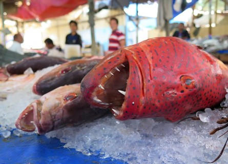 Fish market
