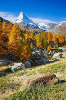 Matterhorn and larch