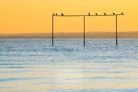 View from Arbon over Lake Constance at sunrise