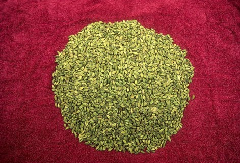 Cardomom Pods