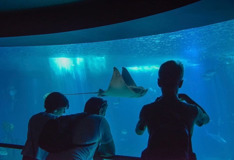 Oceanario de Lisboa