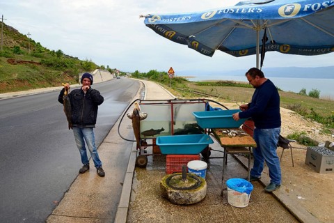 Sale of fish