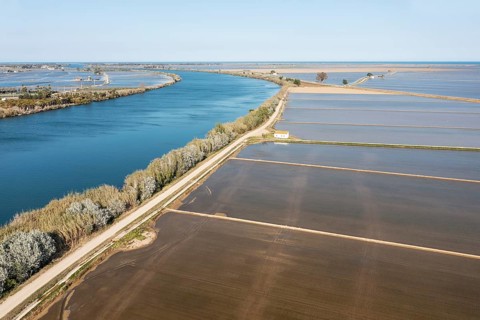 Ebro river and flooded rice fields in May