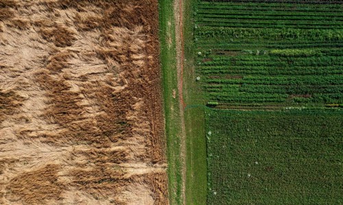 Drone image