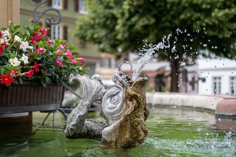 Gargoyle on the fountain in the market square of Ladenburg