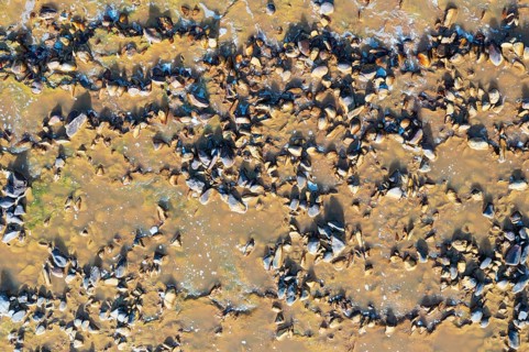 Pebbles in the Rio Tinto
