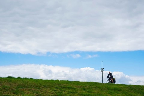 Cyclist on Elbe dyke near Vockfey