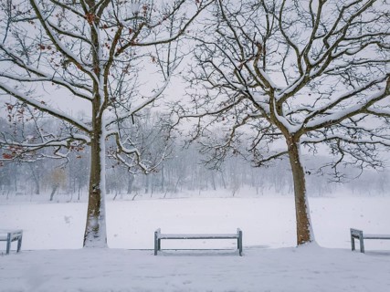 Snowy winter morning in the city park with a bench in the snow between two bare trees. Calm seasonal scene