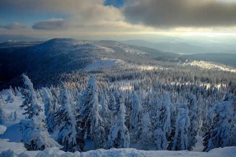 View over the winter landscape