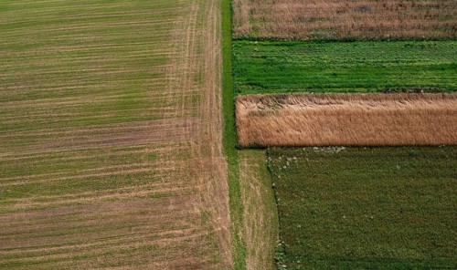 Drone shot