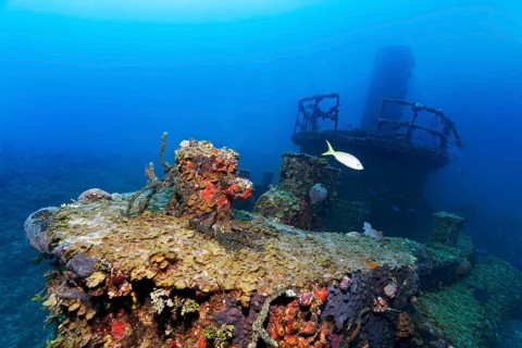 Bow in front