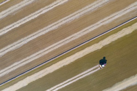 Tractor sowing rice seeds in a flooded rice field in May