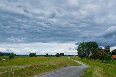 Elbe dike near Kolepant