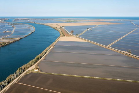 Ebro river and flooded rice fields in May