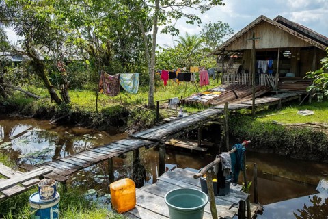 Wooden hut in a jungle village on the Sekonyer River