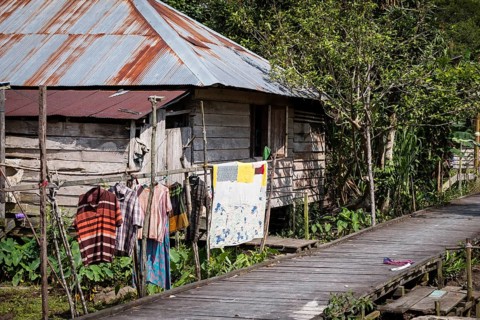 Jungle village with wooden hut on the Sekonyer River