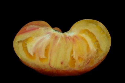 Halved tomato of the old oxheart variety