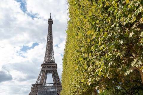 Eiffel Tower