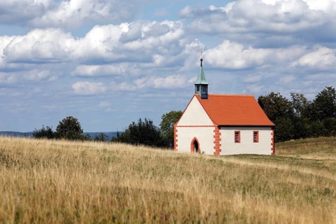 Dry grassland