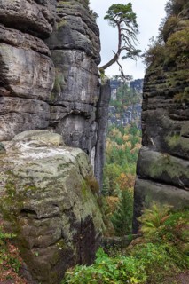 Sandstone rocks in the Bastei area