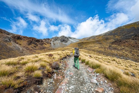 Hikers on trail