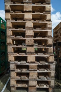 Stacked euro pallets