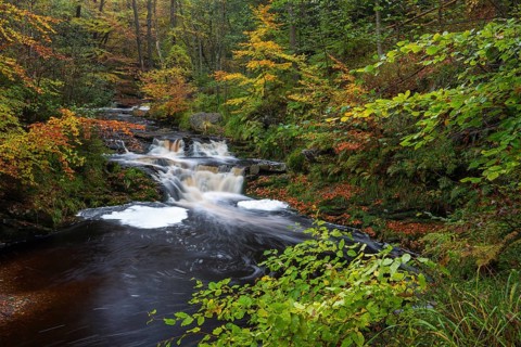 La Hoegne Torrent