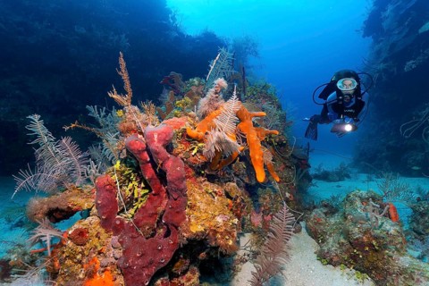 Diver swimming through reef cut and looking at patch reef with various sponges and corals