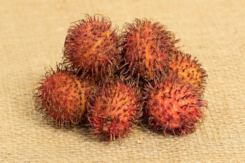 Rambutan (Nephelium lappaceum)