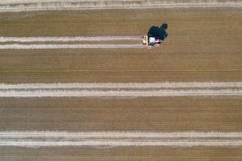 Tractor sowing rice seeds in a flooded rice field in May